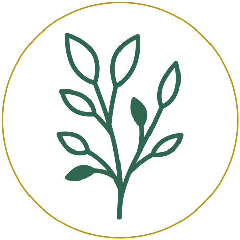 Tranquil Gardens